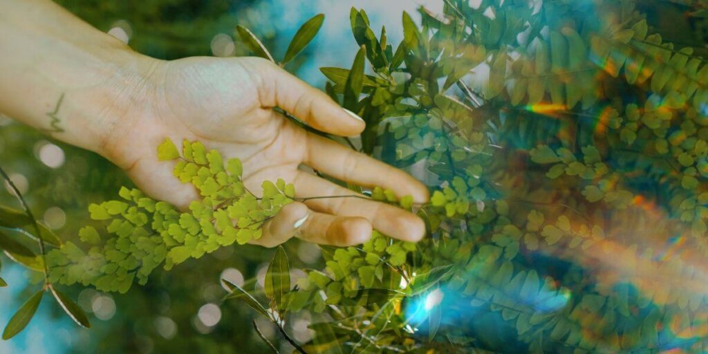 hand touching a plant with rainbow gratitude