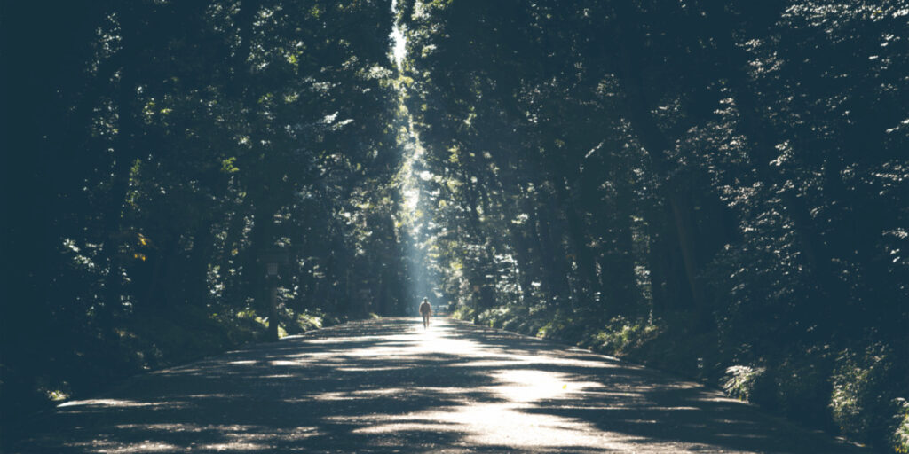 person walking off into the distance on a road lined with trees